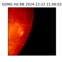 gong - 2024-12-22T21:06:02