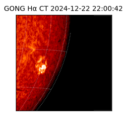 gong - 2024-12-22T22:00:42