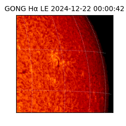 gong - 2024-12-22T00:00:42