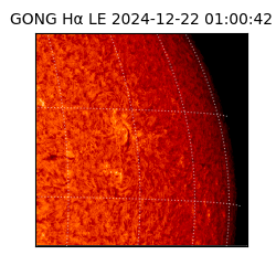 gong - 2024-12-22T01:00:42