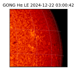 gong - 2024-12-22T03:00:42