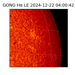 gong - 2024-12-22T04:00:42