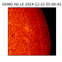 gong - 2024-12-22T05:00:42