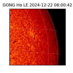 gong - 2024-12-22T06:00:42