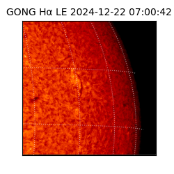 gong - 2024-12-22T07:00:42