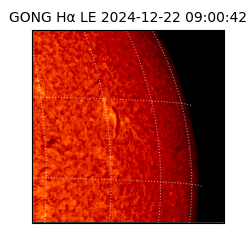 gong - 2024-12-22T09:00:42