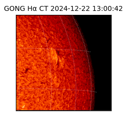 gong - 2024-12-22T13:00:42