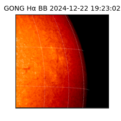 gong - 2024-12-22T19:23:02