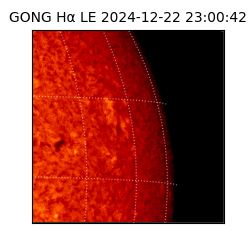 gong - 2024-12-22T23:00:42