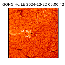 gong - 2024-12-22T05:00:42