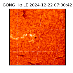 gong - 2024-12-22T07:00:42