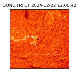 gong - 2024-12-22T12:00:42