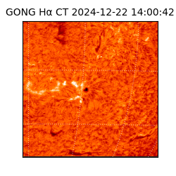 gong - 2024-12-22T14:00:42