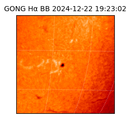 gong - 2024-12-22T19:23:02