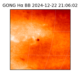 gong - 2024-12-22T21:06:02