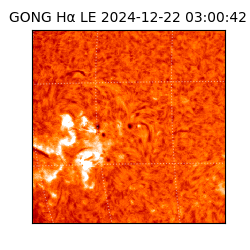 gong - 2024-12-22T03:00:42