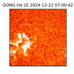 gong - 2024-12-22T07:00:42