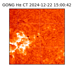 gong - 2024-12-22T15:00:42