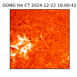 gong - 2024-12-22T16:00:42