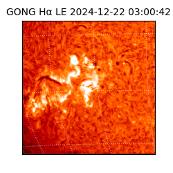 gong - 2024-12-22T03:00:42