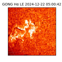 gong - 2024-12-22T05:00:42