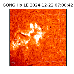 gong - 2024-12-22T07:00:42