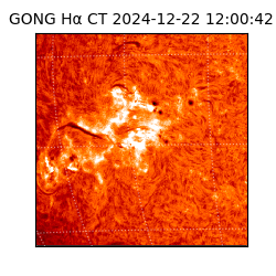 gong - 2024-12-22T12:00:42