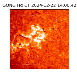 gong - 2024-12-22T14:00:42