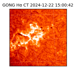 gong - 2024-12-22T15:00:42