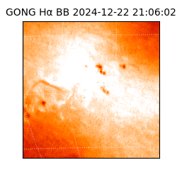 gong - 2024-12-22T21:06:02