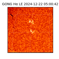 gong - 2024-12-22T05:00:42