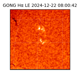 gong - 2024-12-22T08:00:42