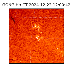 gong - 2024-12-22T12:00:42