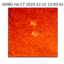 gong - 2024-12-22T15:00:42