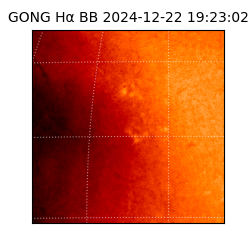 gong - 2024-12-22T19:23:02