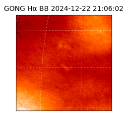 gong - 2024-12-22T21:06:02