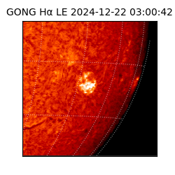 gong - 2024-12-22T03:00:42