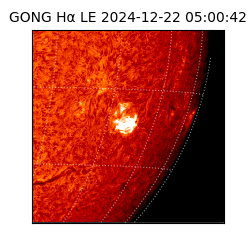 gong - 2024-12-22T05:00:42