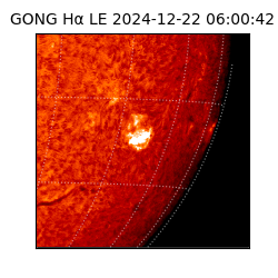 gong - 2024-12-22T06:00:42