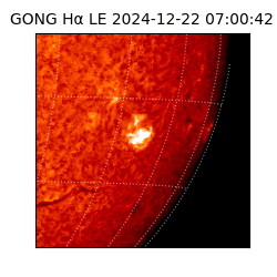 gong - 2024-12-22T07:00:42