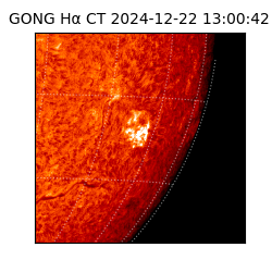 gong - 2024-12-22T13:00:42