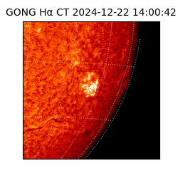 gong - 2024-12-22T14:00:42