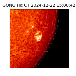 gong - 2024-12-22T15:00:42