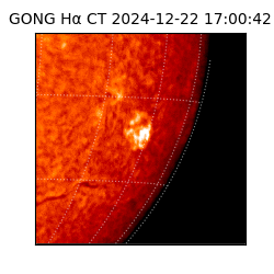 gong - 2024-12-22T17:00:42