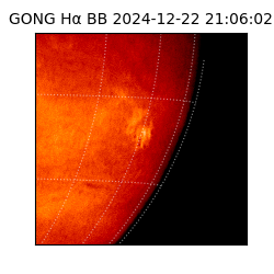 gong - 2024-12-22T21:06:02