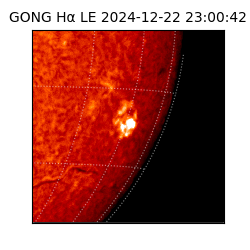 gong - 2024-12-22T23:00:42