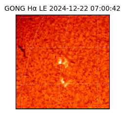 gong - 2024-12-22T07:00:42