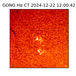 gong - 2024-12-22T12:00:42