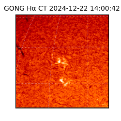 gong - 2024-12-22T14:00:42