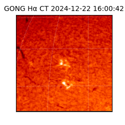 gong - 2024-12-22T16:00:42